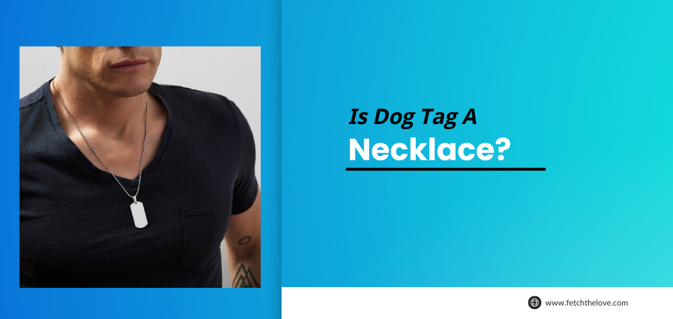 Is Dog Tag a Necklace?
