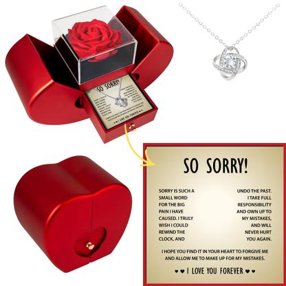 I'm Sorry Necklace Gift for Her- Apology to Girlfriend, Wife