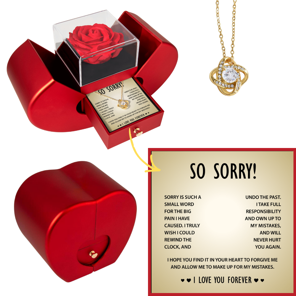 I'm Sorry Necklace Gift for Her- Apology to Girlfriend, Wife