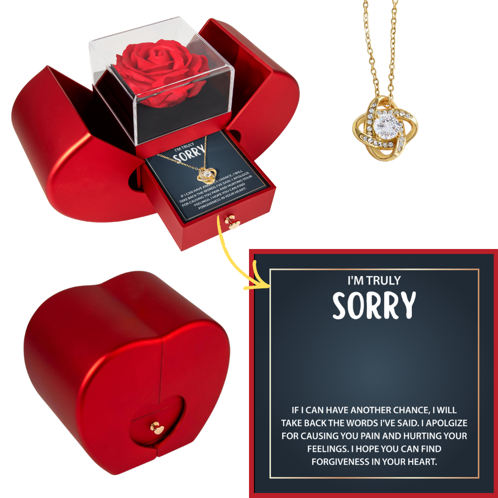 To My Soulmate Necklace - I Apologize for Hurting Your Feelings