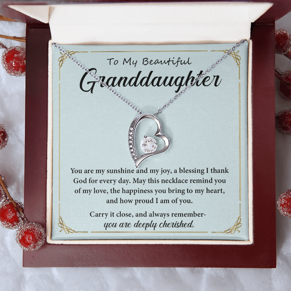 Necklace for Granddaughters- You Are My Sunshine and My Joy