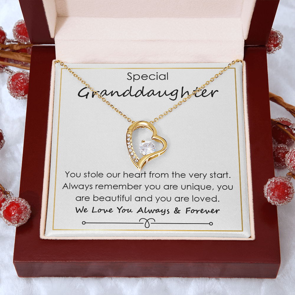 To My Beautiful Granddaughter Necklace From Grandma Grandmom