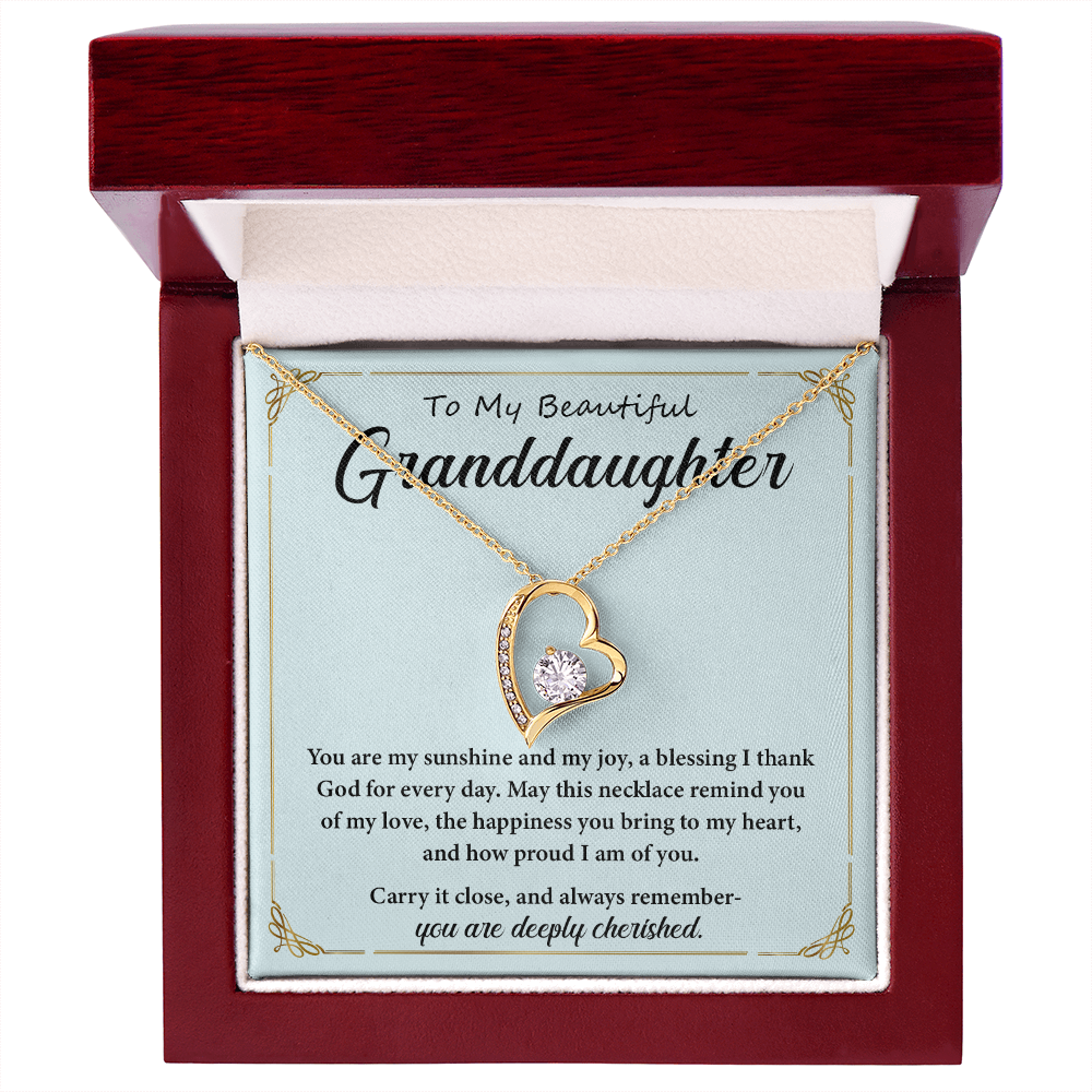 Necklace for Granddaughters- You Are My Sunshine and My Joy