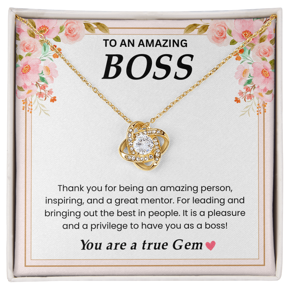 To an Amazing Boss -  a Truly Amazing Leader Appreciation Gift