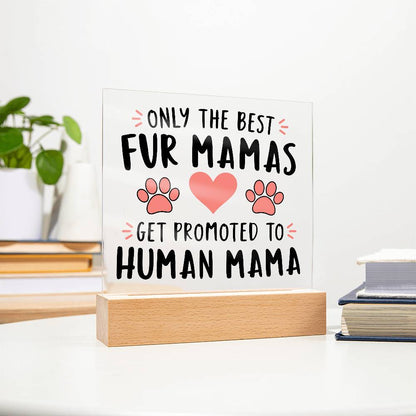 Promoted to Human Mama! | Fur Mama to Mom Acrylic Plaque | Baby Shower Gift, Pregnancy Announcement, New Mom Gift