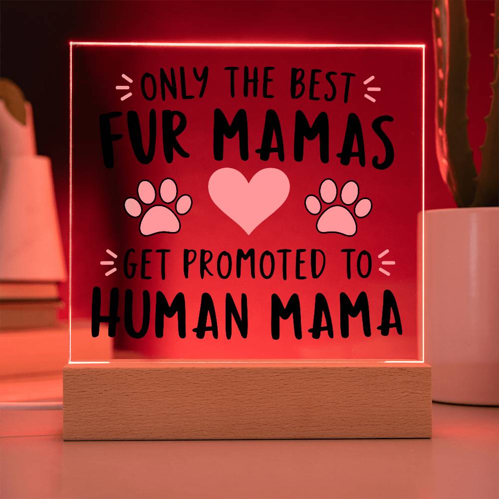 Promoted to Human Mama! | Fur Mama to Mom Acrylic Plaque | Baby Shower Gift, Pregnancy Announcement, New Mom Gift