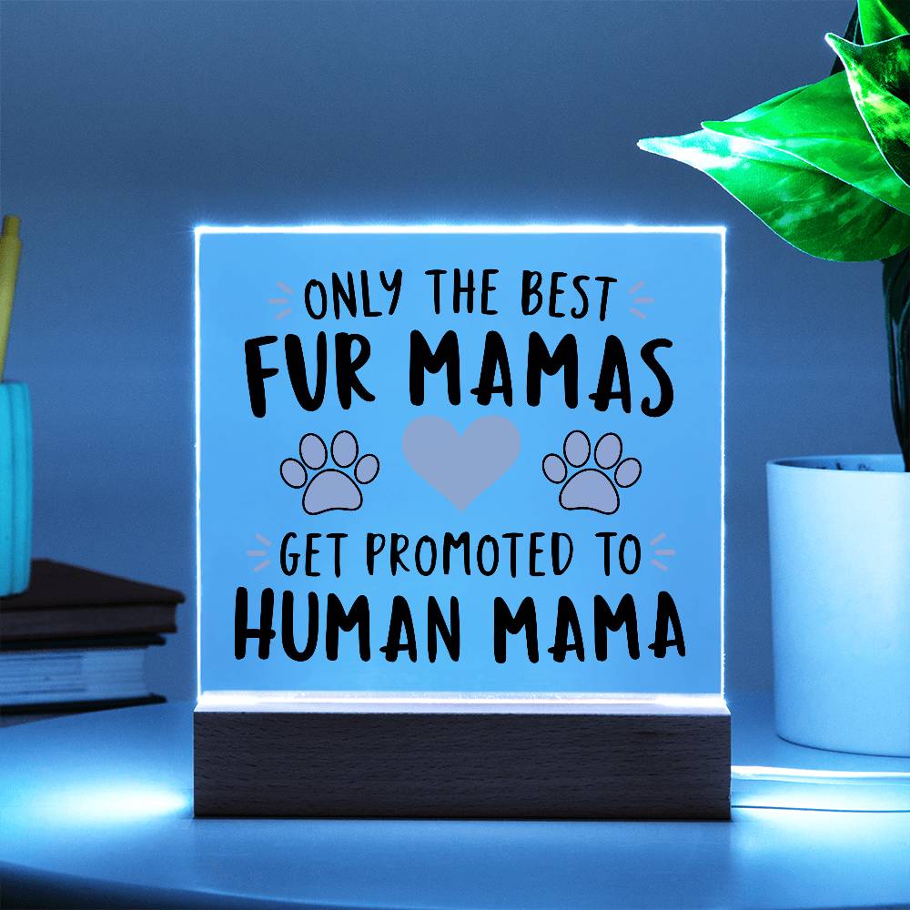 Promoted to Human Mama! | Fur Mama to Mom Acrylic Plaque | Baby Shower Gift, Pregnancy Announcement, New Mom Gift