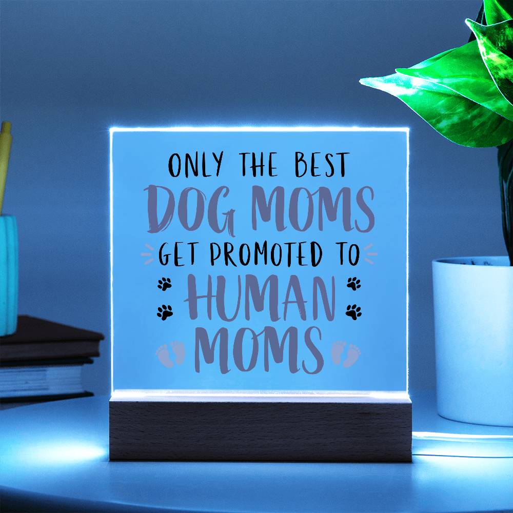 Acrylic Plaque - New Mom Gift | First Time Mother's Day Keepsake | Christmas gifts for an expecting mother