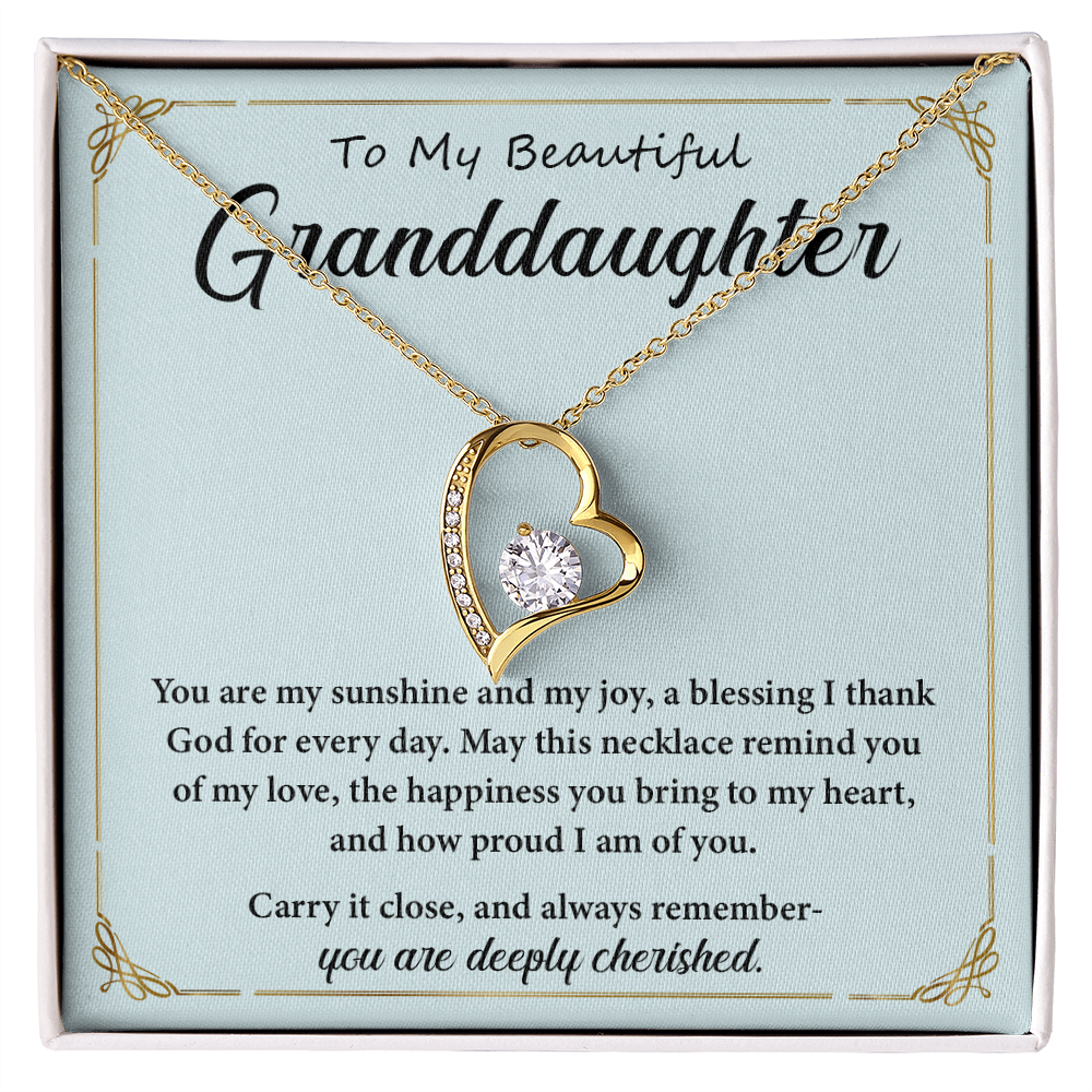 Necklace for Granddaughters- You Are My Sunshine and My Joy