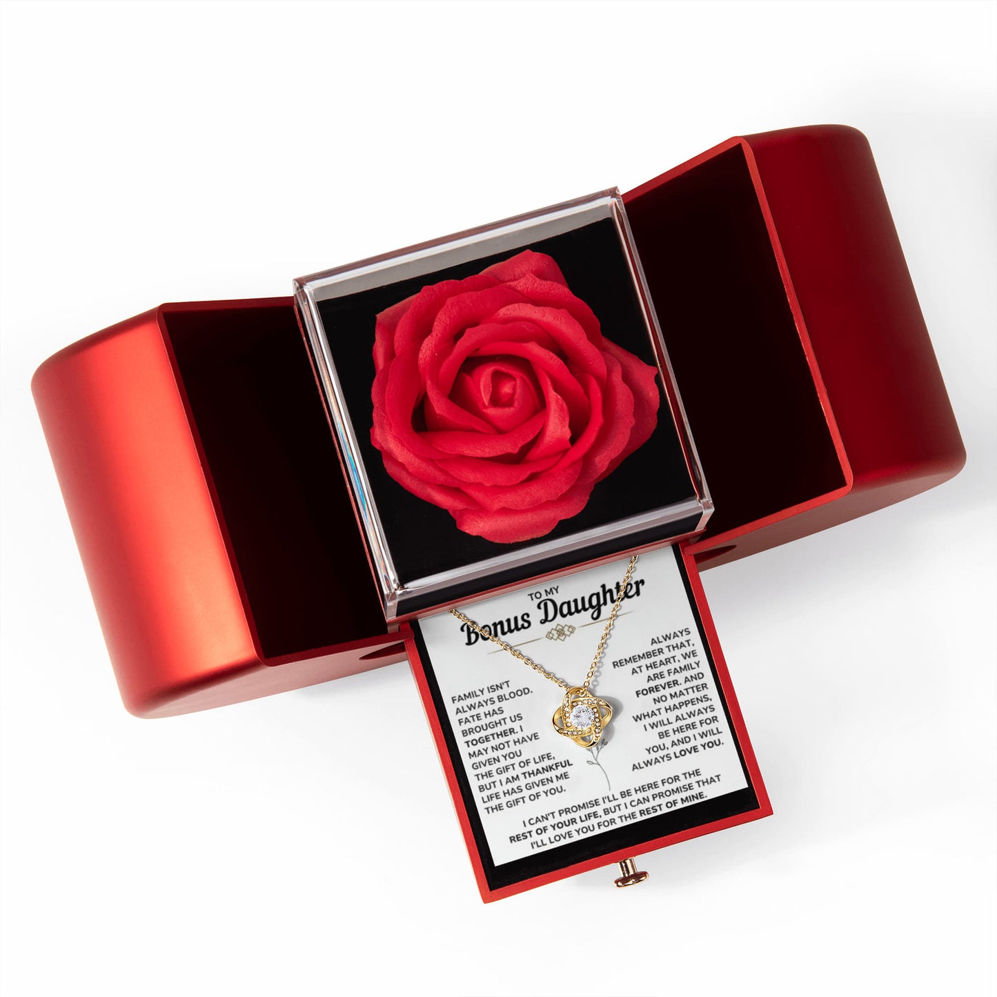 To My Bonus Daughter - Life Gave Me the Gift of You, Step Daughter Jewelry