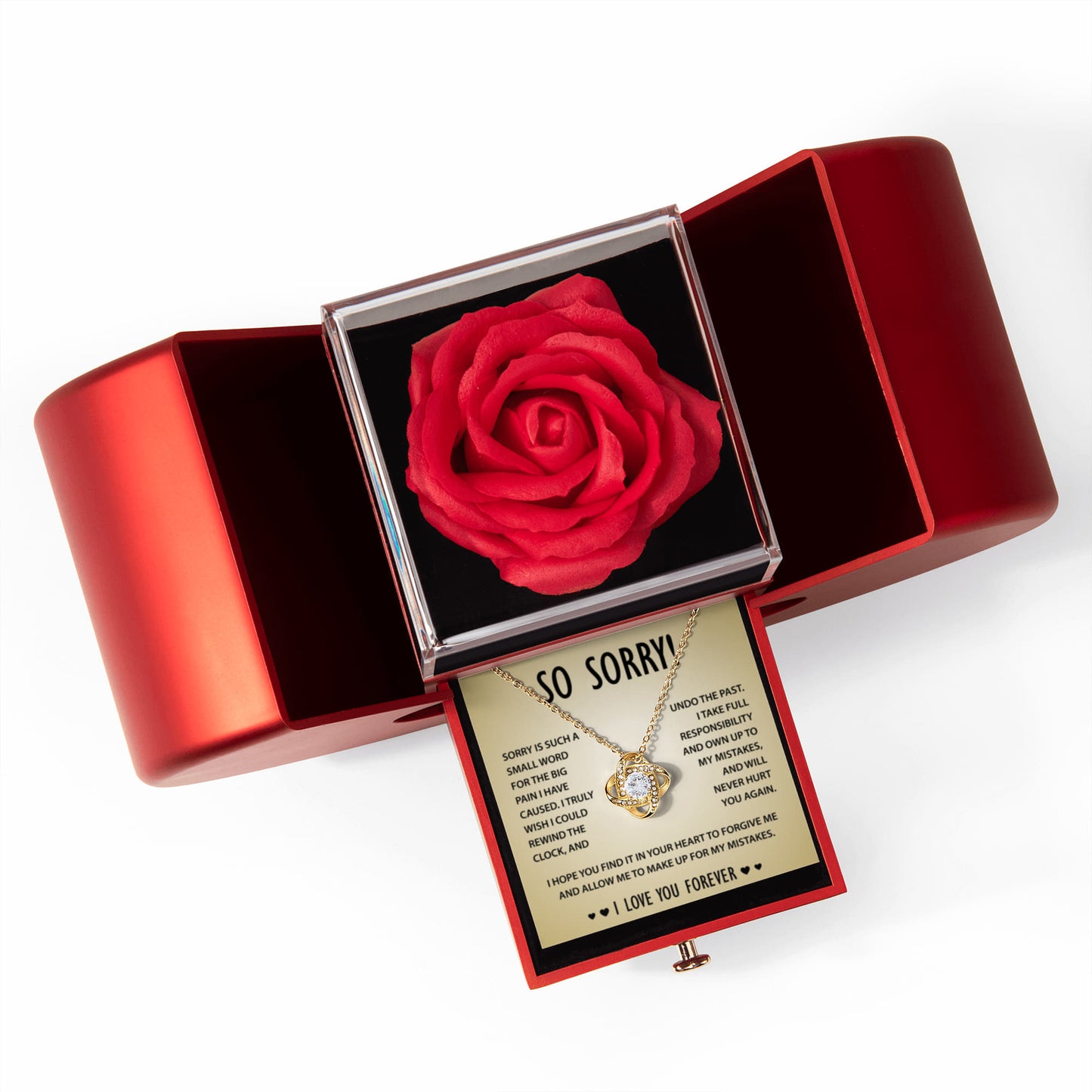 I'm Sorry Necklace Gift for Her- Apology to Girlfriend, Wife