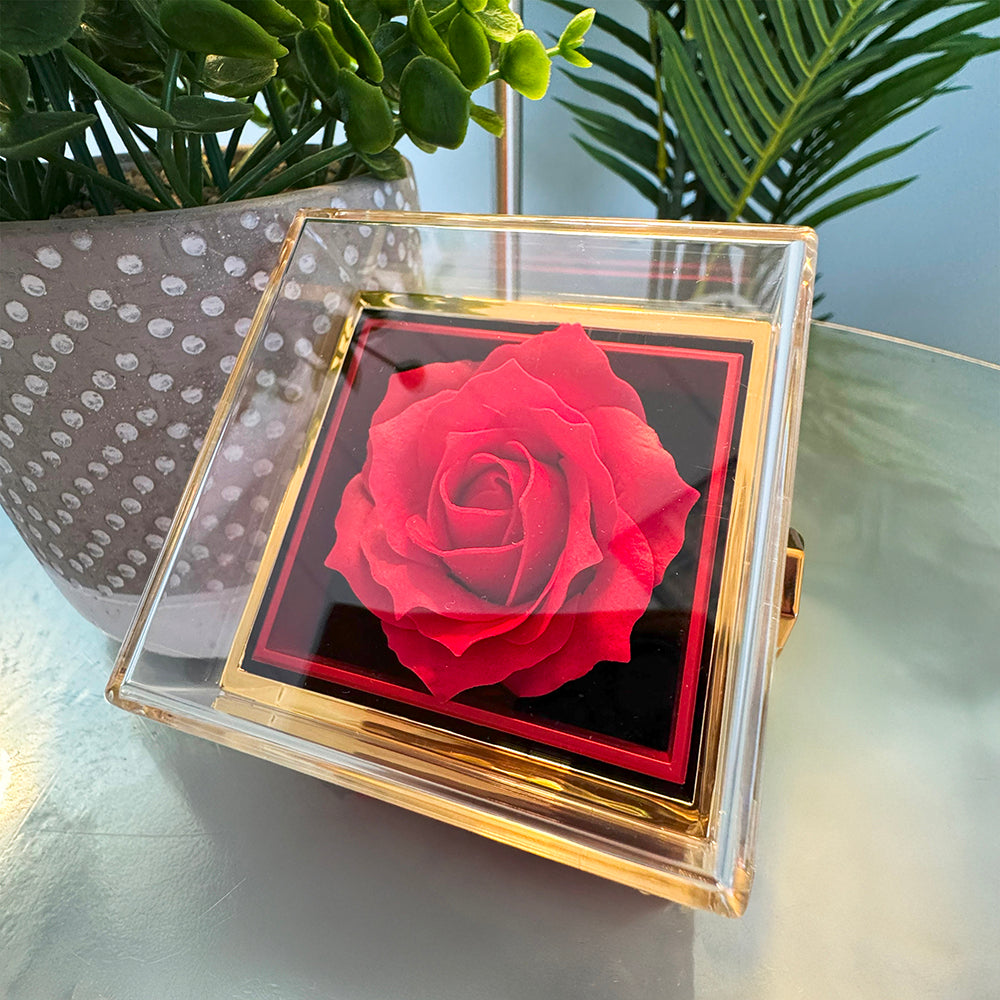 Necklace for Women With Gift Box for Romantic, Valentine's Day Gifts